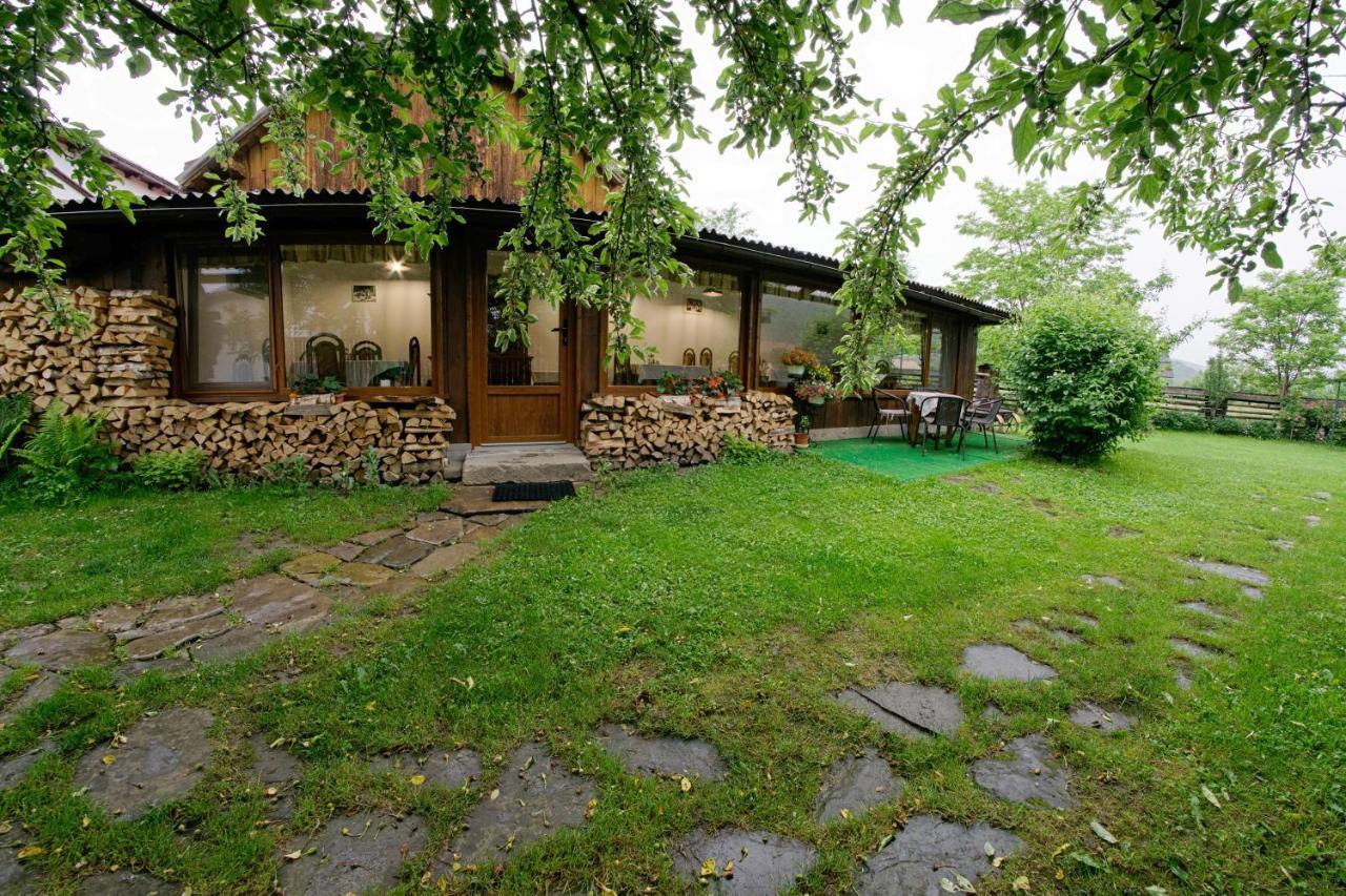 Pensiunea Casa Bianca - Bucovina Vama  Exteriör bild