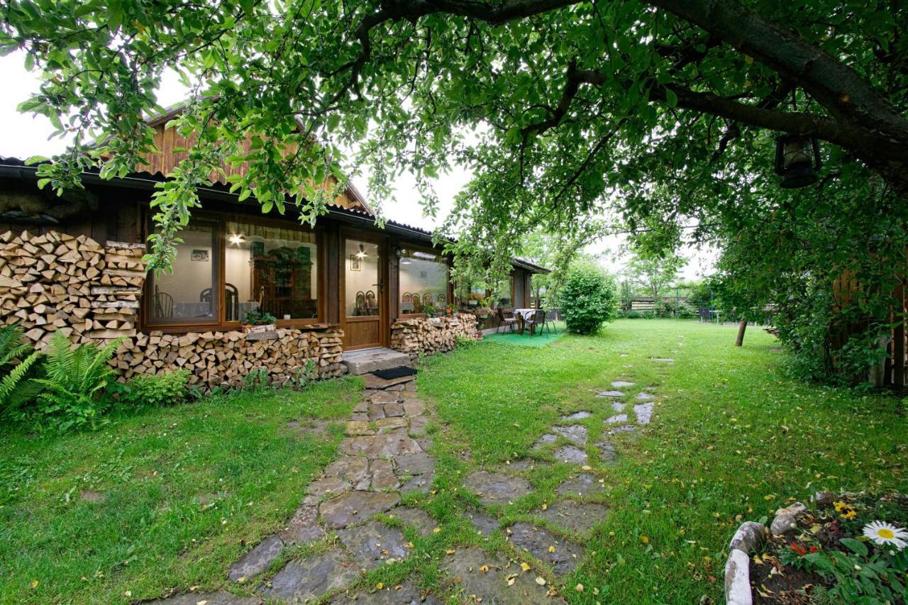 Pensiunea Casa Bianca - Bucovina Vama  Exteriör bild
