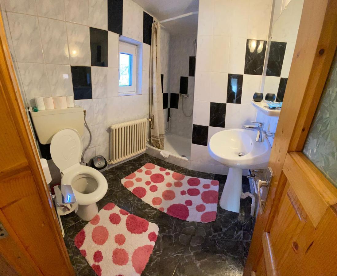Pensiunea Casa Bianca - Bucovina Vama  Exteriör bild
