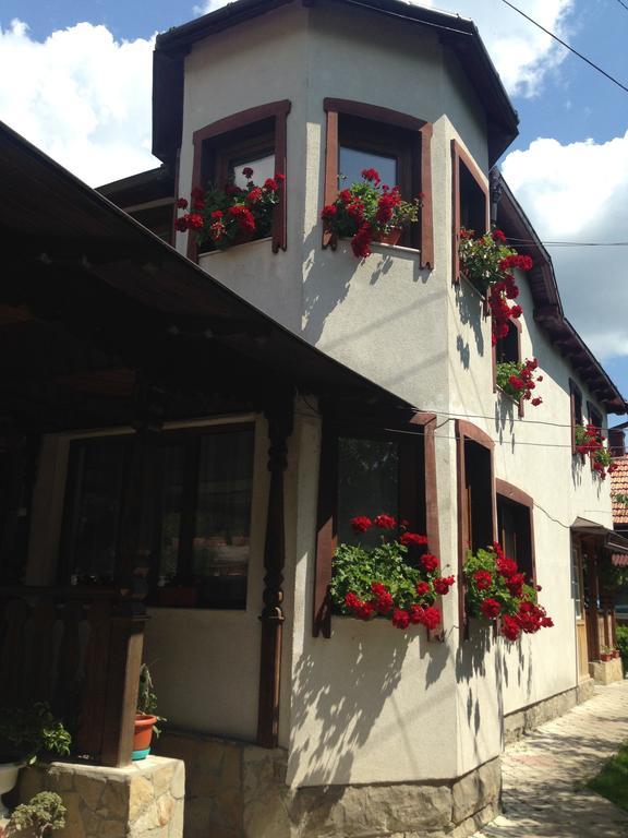 Pensiunea Casa Bianca - Bucovina Vama  Exteriör bild